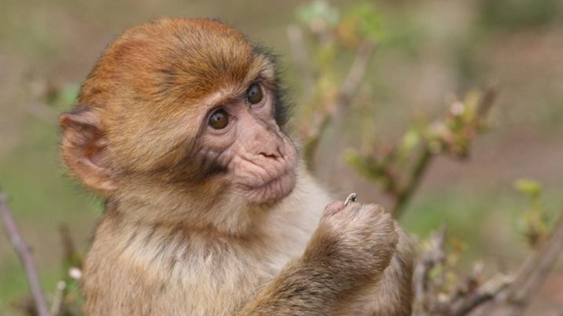 ADAC Trips App & Ausflugstipps