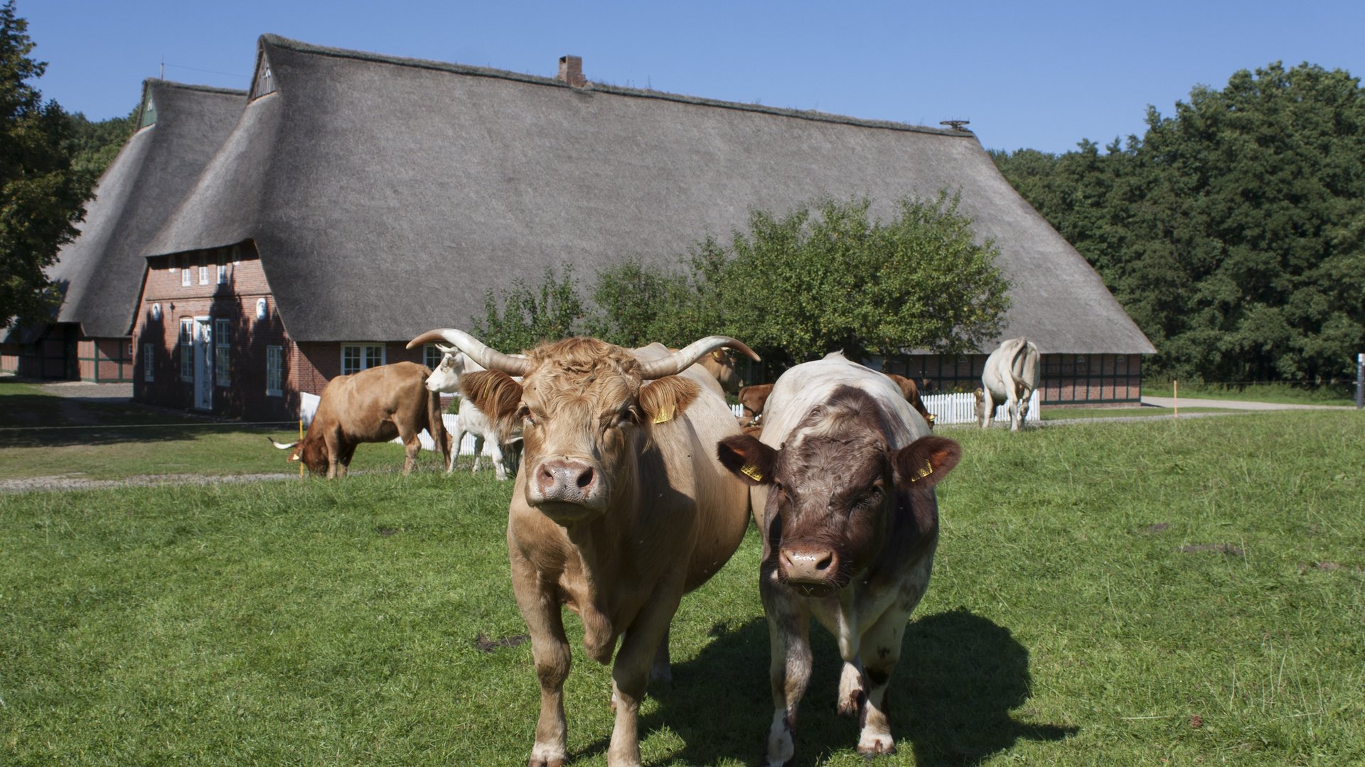 ADAC Trips App & Ausflugstipps